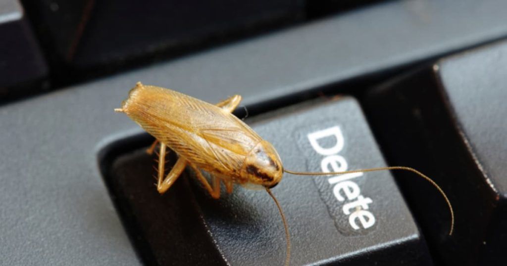 Уничтожение тараканов в офисе в Братске